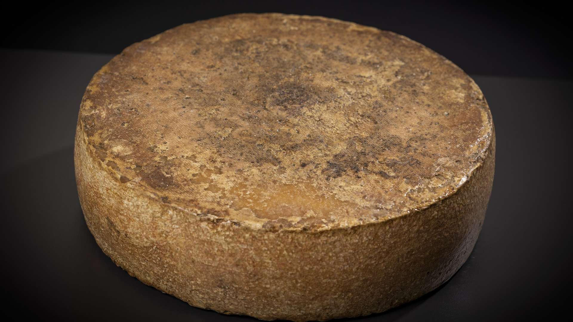 Urzeitkäse